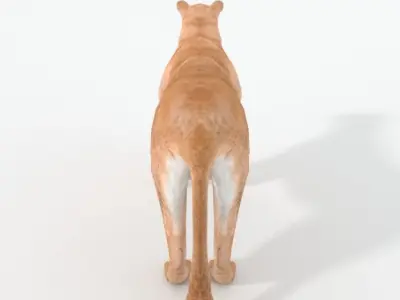 Cougar panther Low-poly 3D model