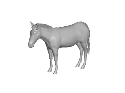 zebra 3D model shop
