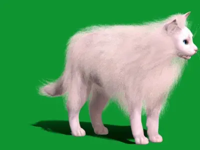 White House Cat Low-poly 3D model