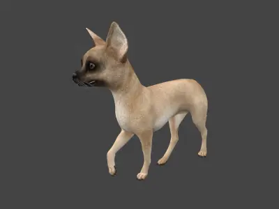 FDCW-003 Walking Animation 3D model