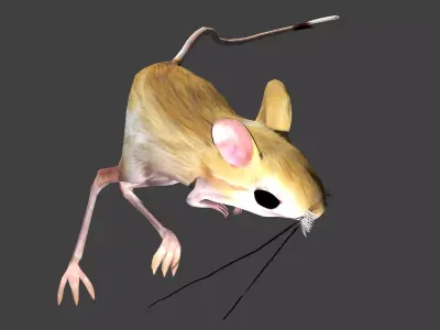 Jerboa mouse with long legs 3D model