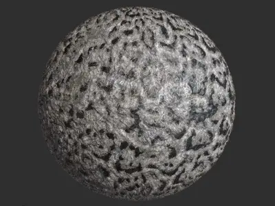 Snow leopard Fur Pbr 4k Texture 3D model