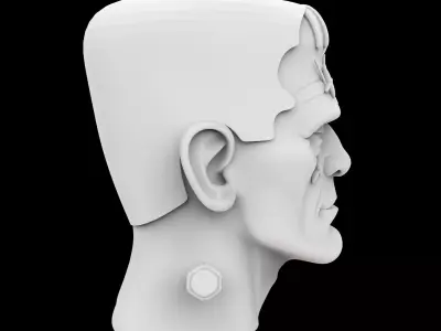 Stylized Frankenstein Head 3D Printable Model 3D print model