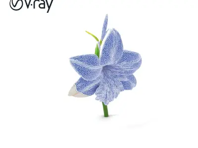 Freesia Grandiflora Large Blooms Model Pack Low-poly 3D model