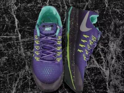 NIKE ZOOM PEGASUS 33 3D SHOES 3D model