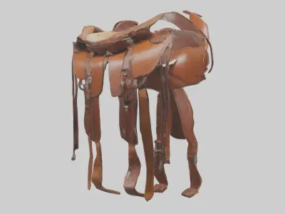 Horsesaddle Model Low-poly 3D model