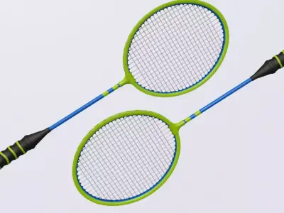 Badminton Racket and Shuttlecock 3D model