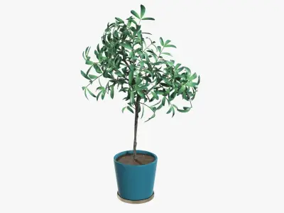 Decorative tree potted 3D model