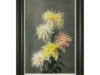 Paintings with flowers 3D model purchase