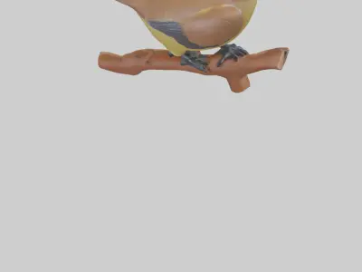 Cedar Waxwing statue model 3D model