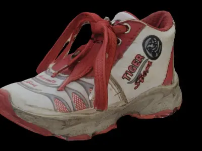 shoes 3d Modal Scan Low-poly 3D model