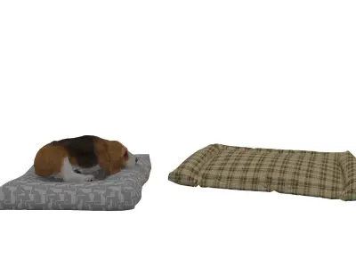 Beagle Dog Bed 3D model