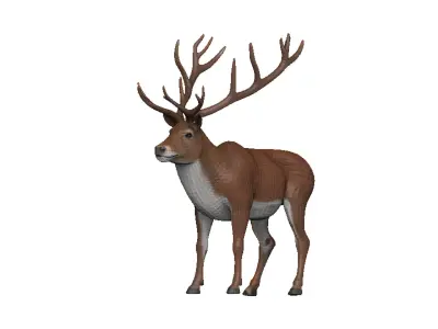 Caribou Low-poly 3D model