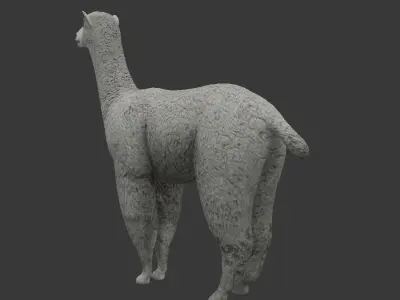 white Alpaca Low-poly 3D model