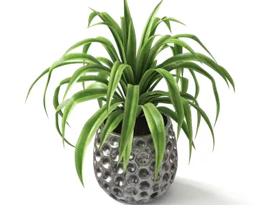 Spider Plant II 3D model