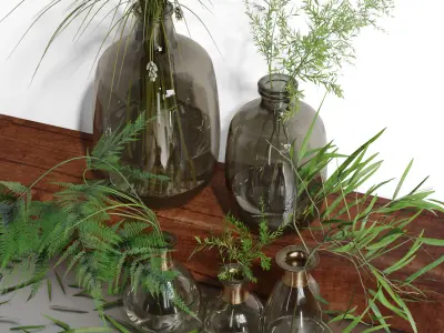 Bouquet of Indoor Grass Herb Plant Glass Vases Set 3D model