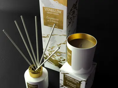 Decorative set diffuser with gold sticks and box 3D model