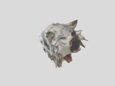 Wolf Head 3D Model Low-poly 3D model