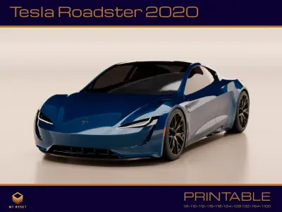 Tesla Roadster 2020 3D print model