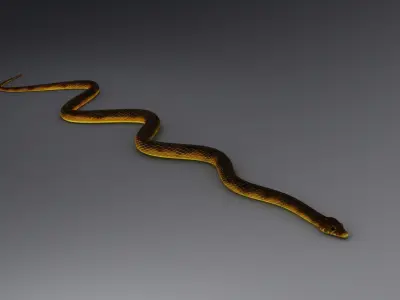 Snake Rig 3D model purchase