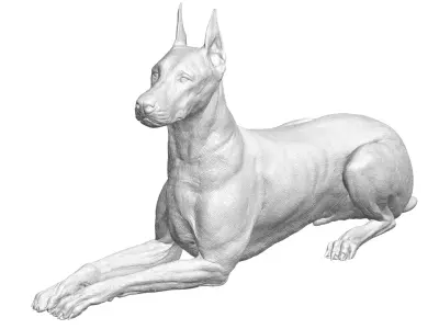doberman 3D model