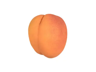 Photorealistic Apricot 3D Scan 3D model