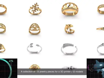 A collection of  13 jewelry pieces for a 3D printer 3D Model Pack