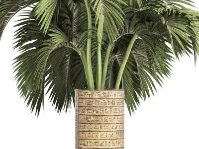 Plants Collection 163 Egyptian Palm 3D model