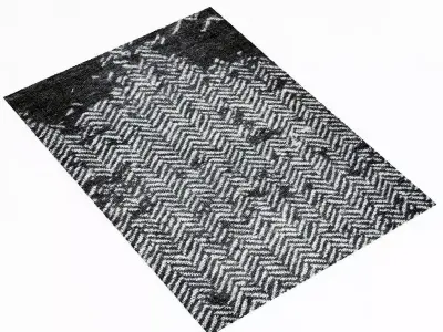 Baxter SCARLET TWILL CARPET 3D model