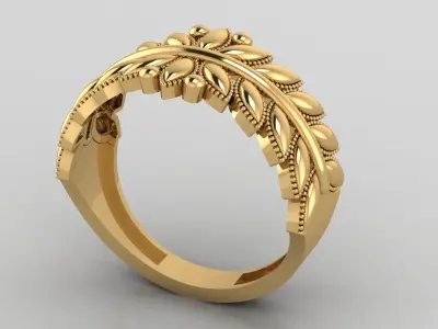 Woman Rings 3D print model