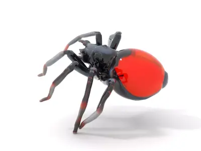 Red Back Spider model pack Low-poly 3D model