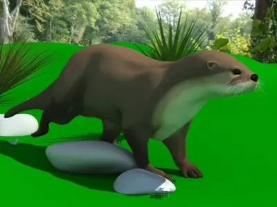 Otter in desert 3D model