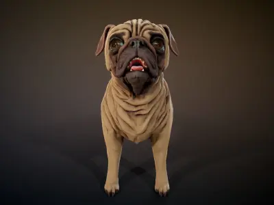 Pug low-poly Low-poly 3D model