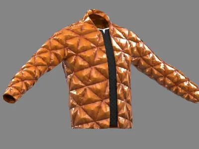 bump jacket  Low-poly 3D model
