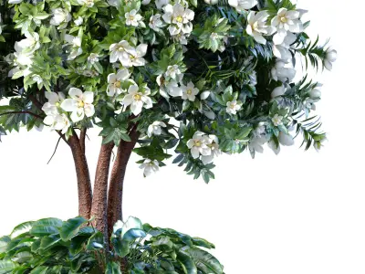 Decorative flowering garden tree gold pot Art Deco flowerpot 3D model