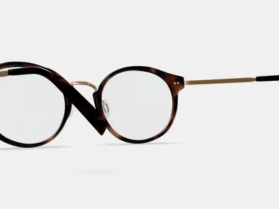 Jayla Eyeglasses in Cognac Tortoise with Polished Gold Low-poly 3D model