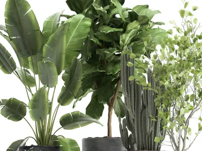 Houseplants in a flowerpot for the interior 961 3D model