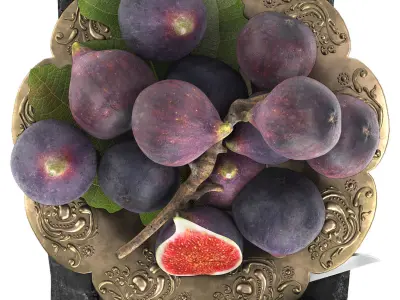 plate of figs fruit 3D model