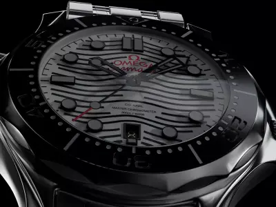 Omega Seamaster Diver 300M Watch 3D model