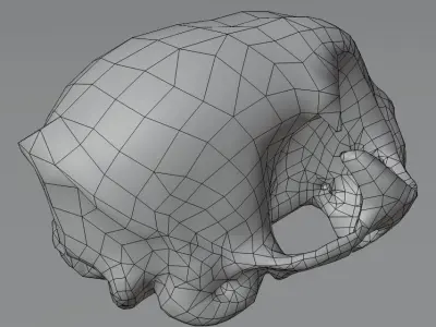  3D Real Cat Skull for GameDev 3D model Low-poly 3D model