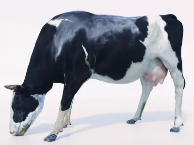 Cow Hair and Fur Low-poly 3D model