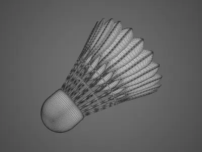 Badminton Ball 3D model