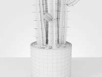 Plant 6 two cactus plants in pot 3D model