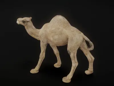 camel 3D model purchase