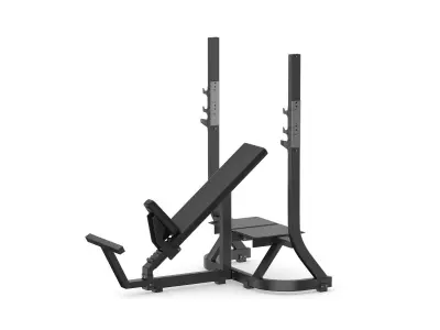 Technogym Pure Olympic Incline Bench 3D model