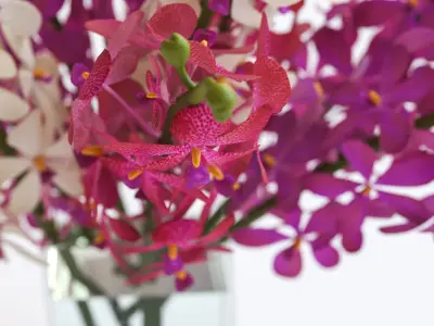 Pink and white flower in a vase 3D model