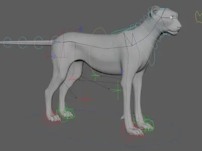 Cheetah - body with RIG including textures and shading 3D model
