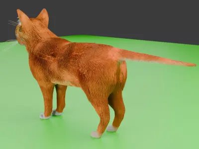 Low-poly Cat Low-poly 3D model purchase