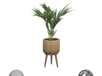 Decorative Palm in a Basket 3D model