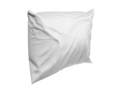 Solid Pillow 15 3D model